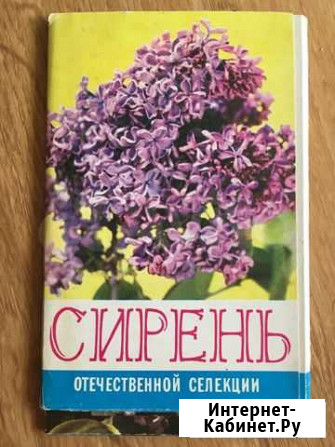 Набор открыток, 1982г Тюмень - изображение 1