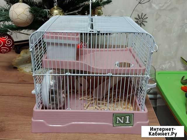 Джунгарский хомяк с клеткой Тюмень - изображение 1