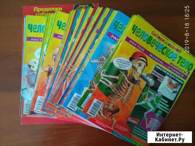 Журнал Человеческое тело Новокузнецк - изображение 1