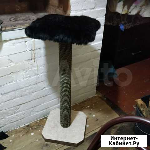 Когтеточка Урень - изображение 1