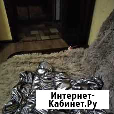 Одежда для собак мелких пород Ульяновск - изображение 1