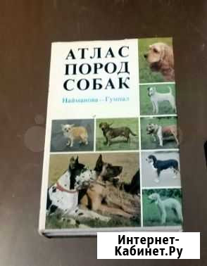 Атлас пород собак Моршанск - изображение 1