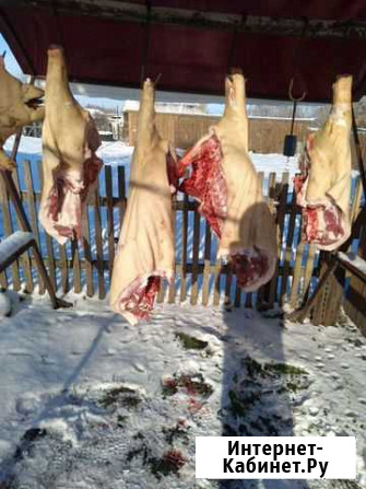 Мясо свинина домашняя Краснозерское - изображение 1