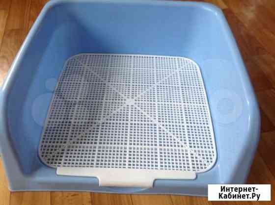 Лотки для хорька, кролика, мелких собак б. у Красноярск