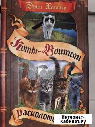 Книги коты воители Новосибирск