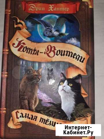 Коты Воители Новосибирск - изображение 1