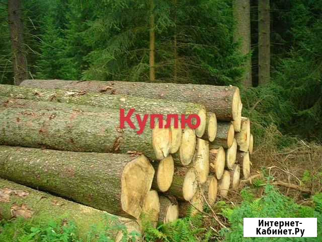 Лес кругляк пиловочник пихта, сосна Бийск - изображение 1
