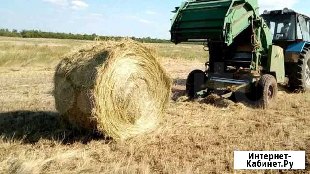 Сено Земетчино - изображение 1