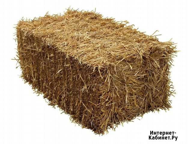 Продаю сено Усть-Кут - изображение 1
