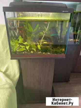 Подставка под аквариум 60 л Санкт-Петербург