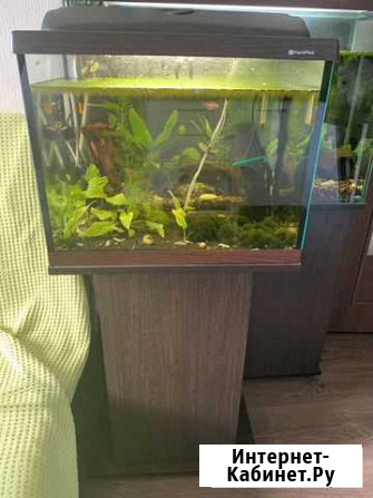 Подставка под аквариум 60 л Санкт-Петербург - изображение 1