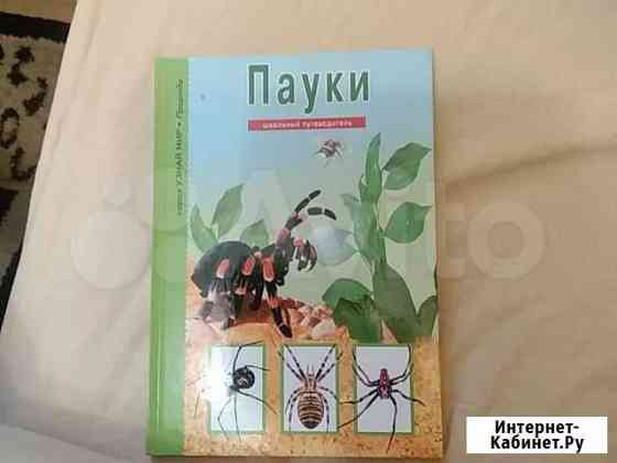 Книга Узнай мир. Пауки,клещи,скорпионы Тюмень