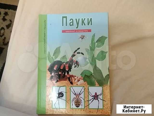 Книга Узнай мир. Пауки,клещи,скорпионы Тюмень - изображение 1