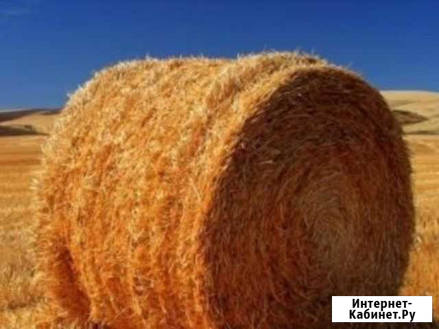 Продам солому Марьяновка - изображение 1