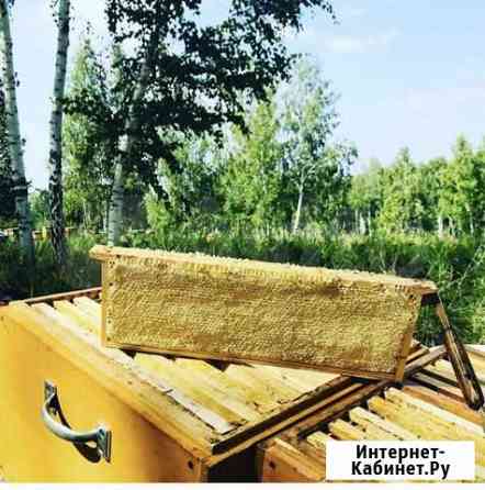 Сотовый мед Красноярск