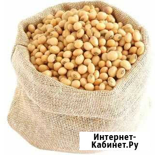 Соя бобы Бийск - изображение 1