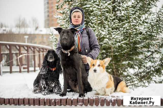 Квартирная передержка для животных Москва - изображение 1