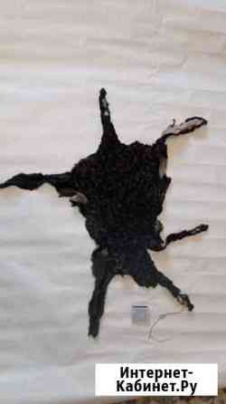 Шкура из каракуля Омск