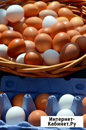 Домашние куриные яйца Хомутово - изображение 1
