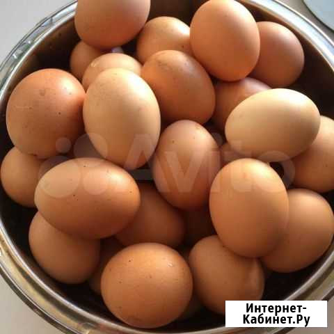 Яйцо куриное домашнее Миасс - изображение 1