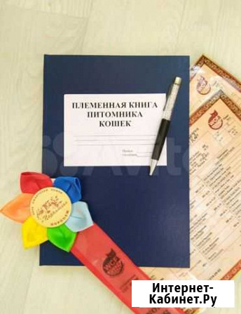 Племенная книга для питомника кошек Воронеж - изображение 1
