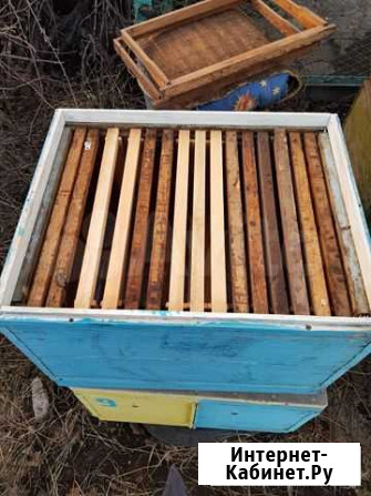 Продам улья, рамки, фляги Орск - изображение 1