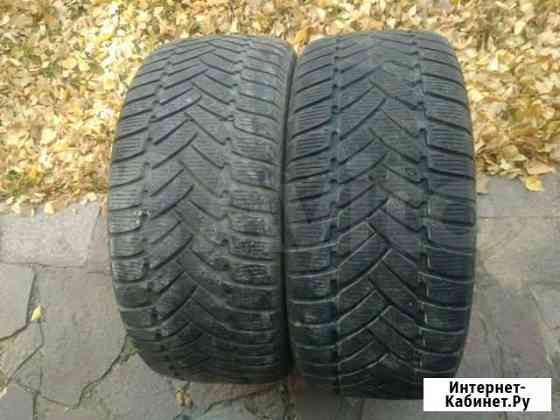 Две зимние шины 255/40R19 Dunlop Казань