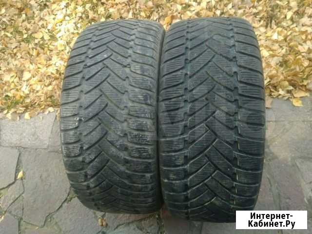 Две зимние шины 255/40R19 Dunlop Казань - изображение 1