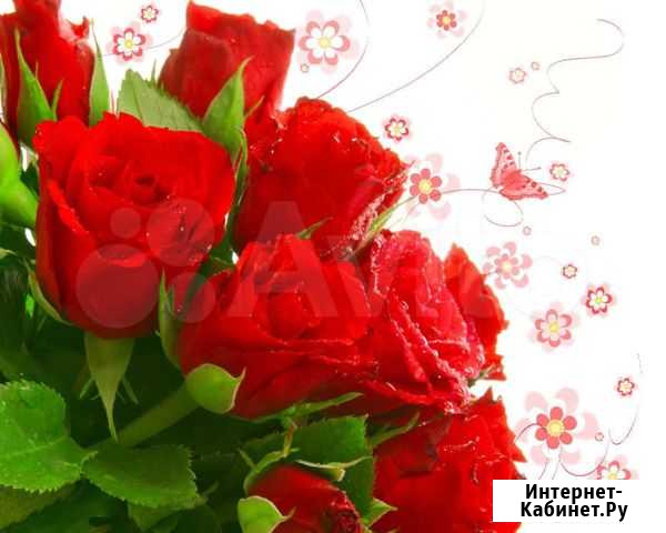 Предлагаю компьютерные диски Краснодар - изображение 1