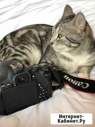 Canon eos 700d Алушта - изображение 1