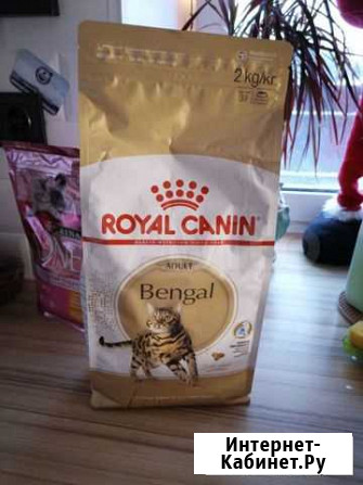 Корм Royal Canin Bengal Королев - изображение 1