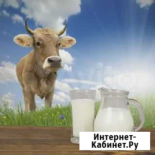 Прадаю домашнее коровье молоко, сметану, творог Тихорецк - изображение 1