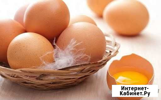 Домашние куриные яйца Лабинск - изображение 1