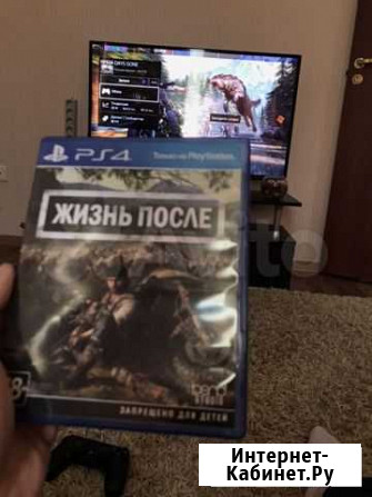 Жизнь после Приозерск - изображение 1