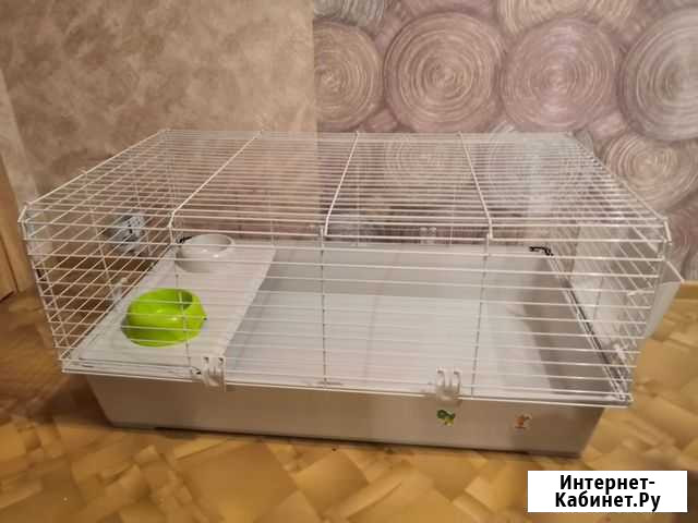 Клетки для грызунов бу Пенза - изображение 1