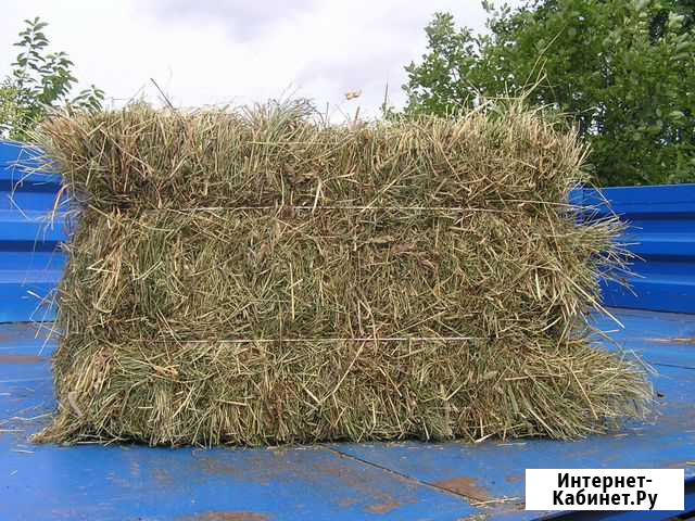 Сено в тюках Вахруши - изображение 1