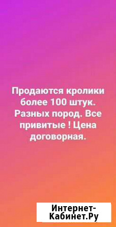 Кролики Венев - изображение 1