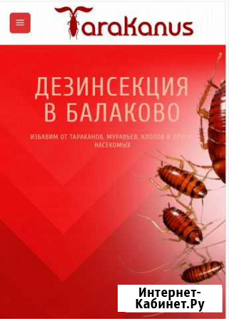 Дезинсекция. Дезинфекция Балаково - изображение 1