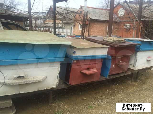 Продаются пчелиные ульи Армавир - изображение 1