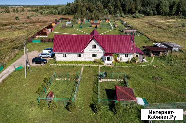 Гостиница для собак зооэкоотель Гостилицы - изображение 1