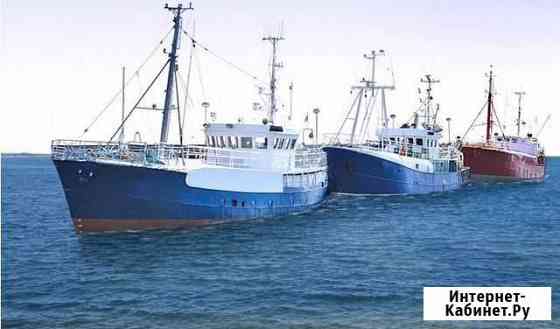 Рыба свежемороженая оптом от производителя Королев