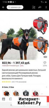 Рюкзак для собак Камышин - изображение 1