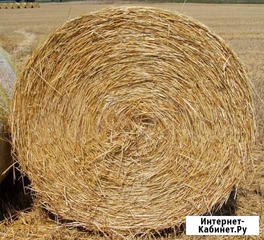 Солома Кашира - изображение 1