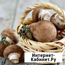 Грибы шампиньоны Глазов - изображение 1