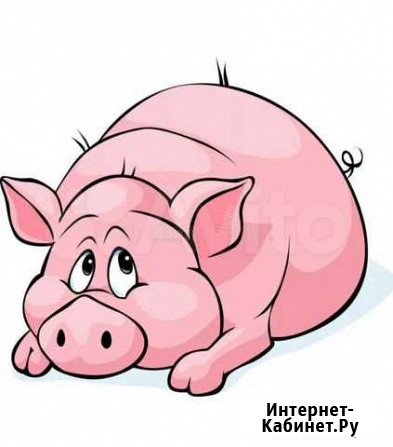 Свинья супоросная Лопатино - изображение 1
