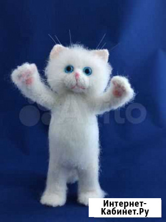 Кот. кот?нок Веня Янино-1 - изображение 1