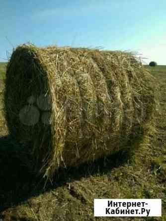 Сено Красноярск