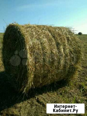 Сено Красноярск - изображение 1