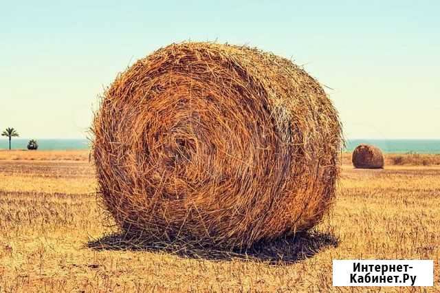 Продам сено в тюках Емельяново - изображение 1