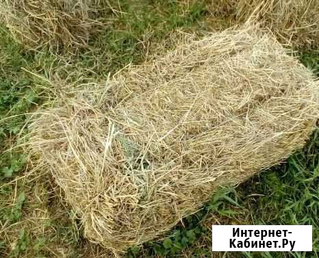 Сено в тюках Нефтекамск - изображение 1